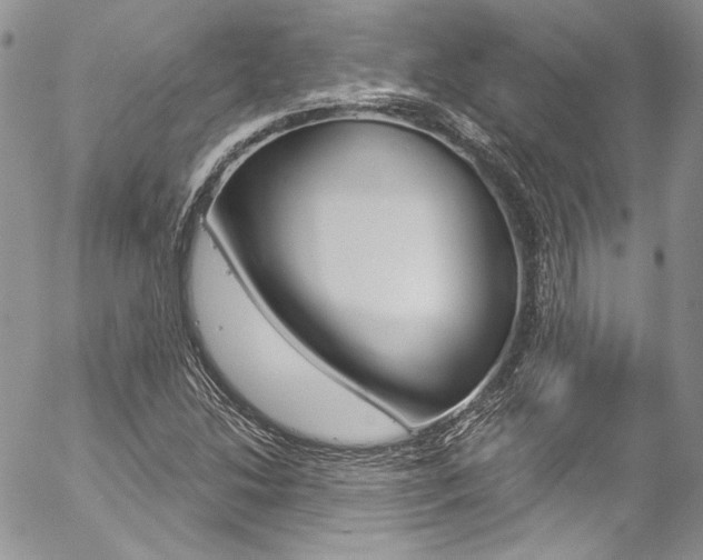 X0000057071214200509090834