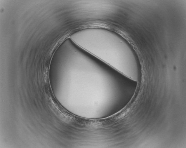 X0000057071233200509090834