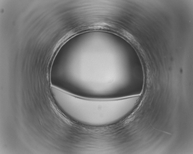 X0000057071234200509090834