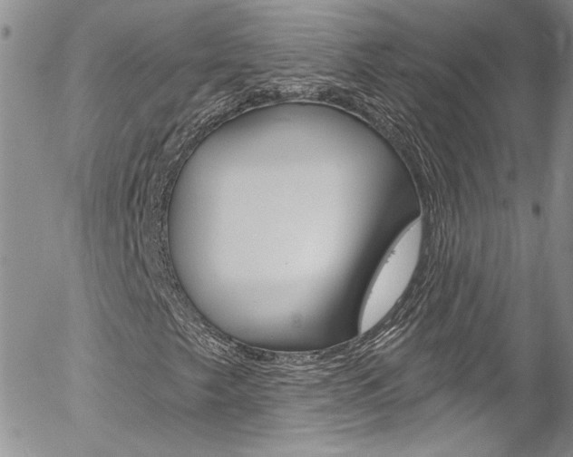 X0000057071249200509090833