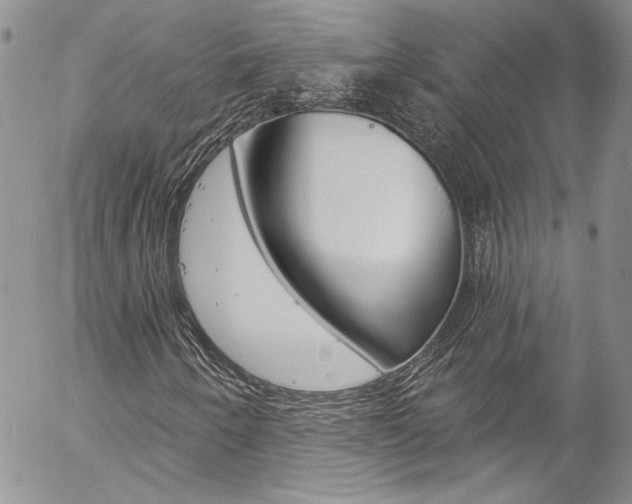 X0000057071250200509090833