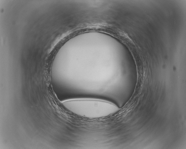 X0000057071256200509090833