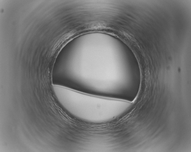 X0000057071265200509090833