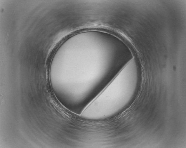 X0000057071270200509090833