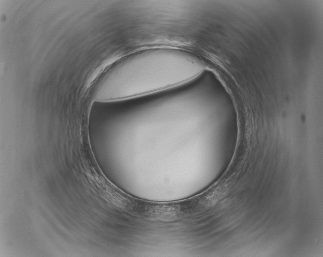 X0000057071307200509090832