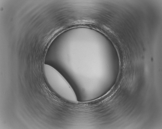 X0000057071313200509090832