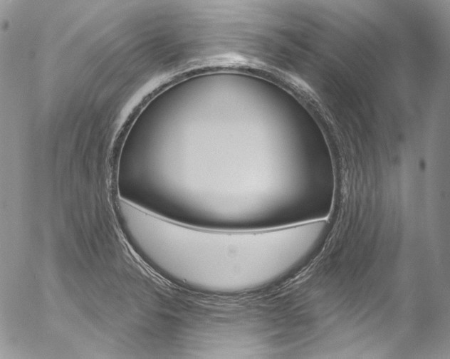 X0000057071326200509090832