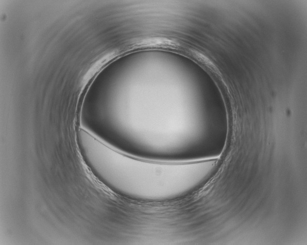 X0000057071330200509090832