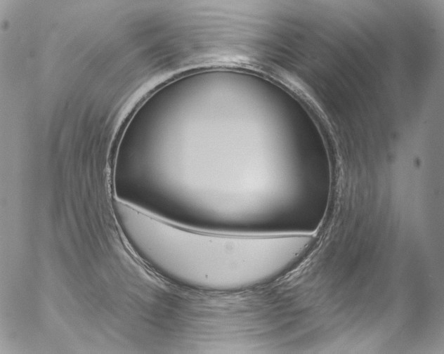 X0000057071332200509090832