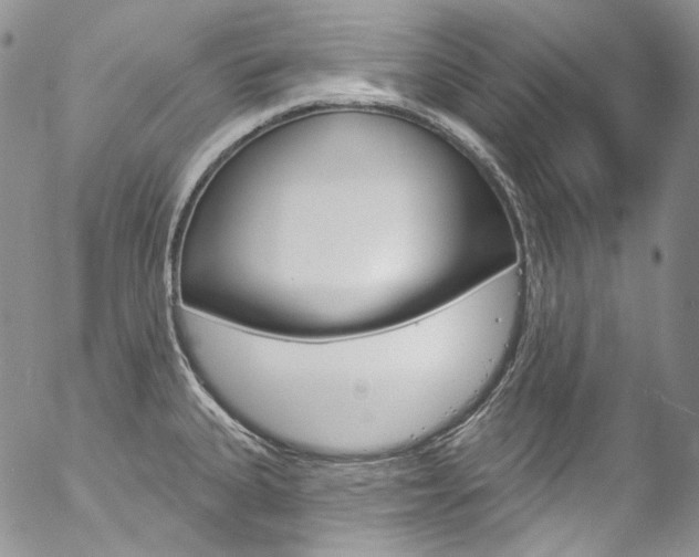X0000057071335200509090833