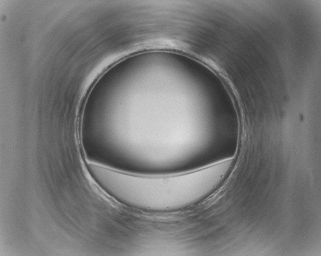 X0000057071342200509090833