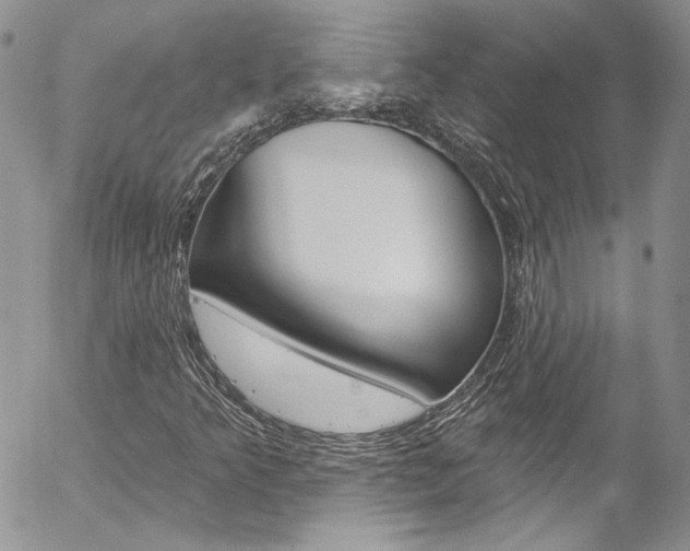 X0000057071349200509090832