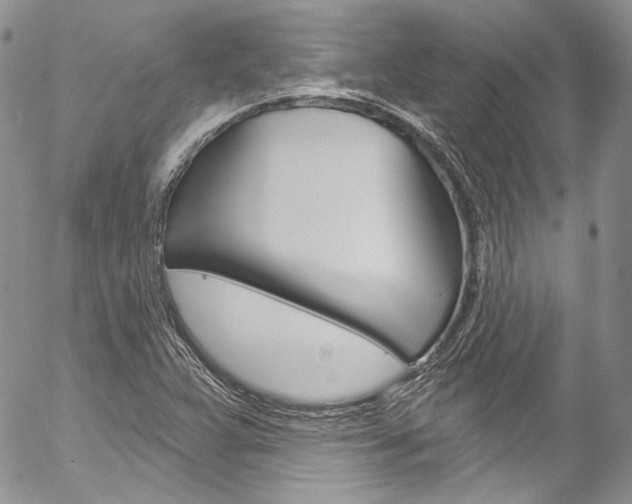 X0000057071359200509090832
