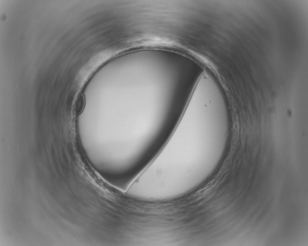 X0000057071375200509090831