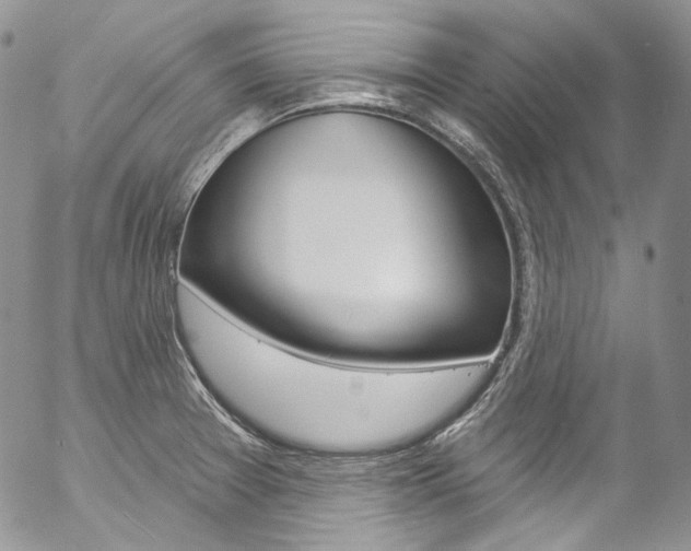 X0000057071377200509090831
