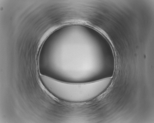 X0000057071389200509090831