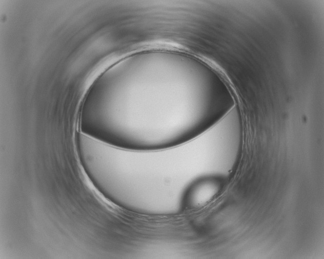 X0000057071391200509090831