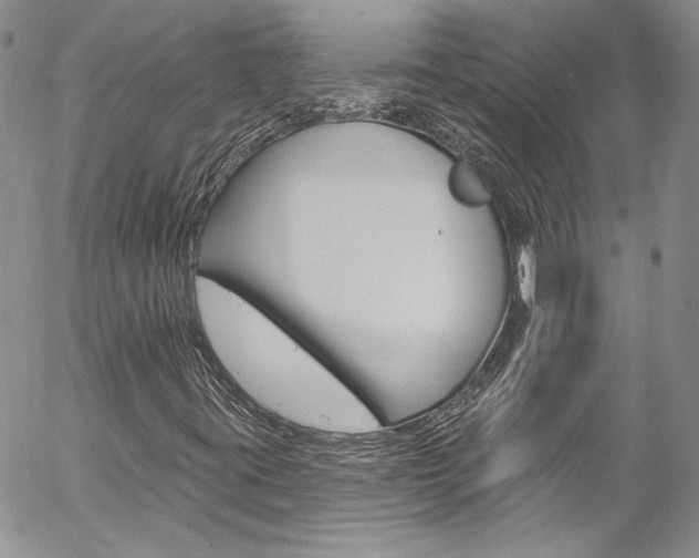 X0000057071395200509090830
