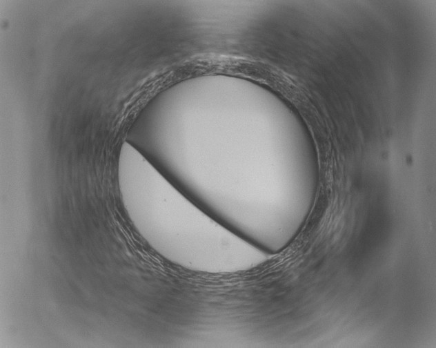 X0000057071397200509090830