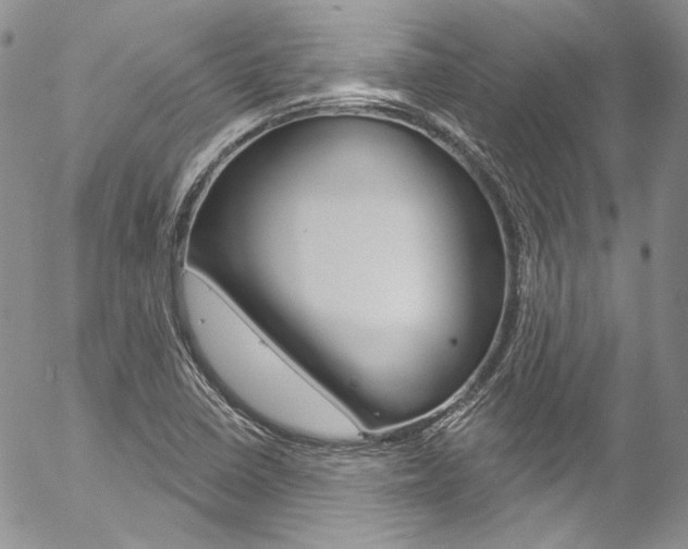 X0000057071410200509090831