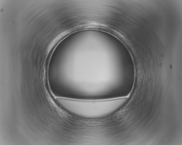 X0000057071418200509090831