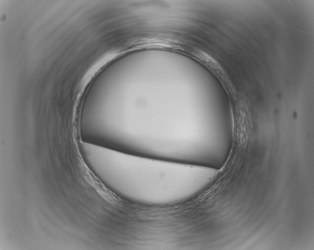 X0000057071427200509090831