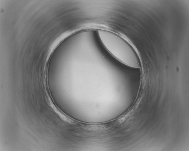 X0000057071437200509090831