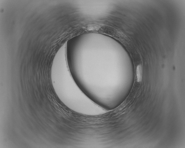 X0000057071443200509090830