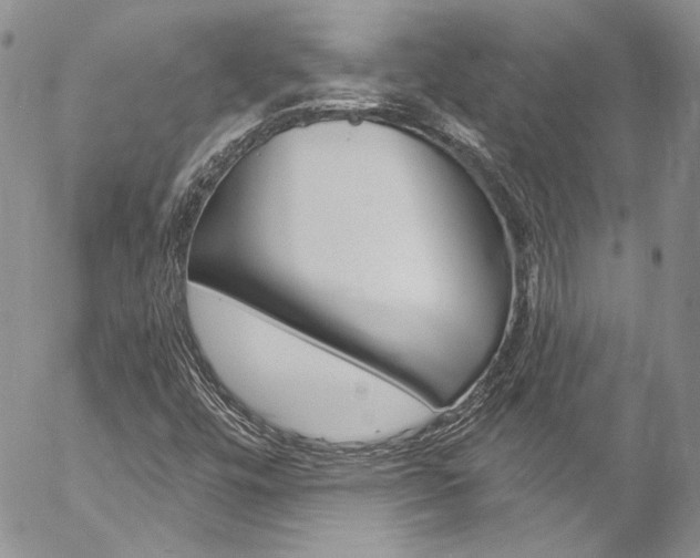 X0000057071448200509090830