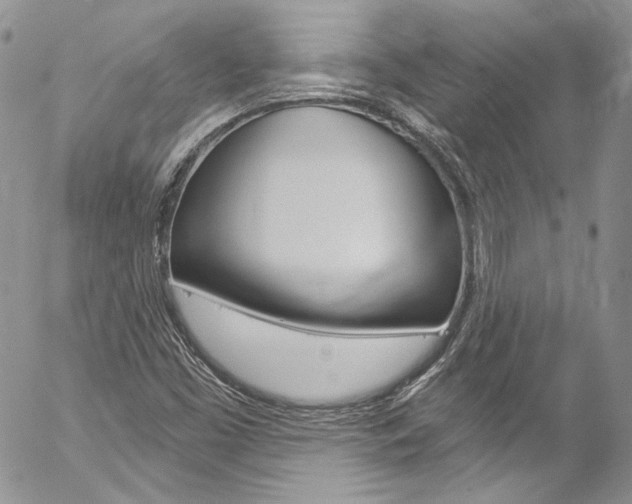 X0000057071453200509090830