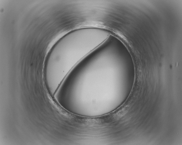 X0000057071469200509090830