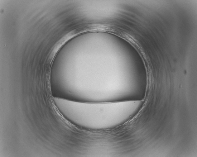X0000057071481200509090830