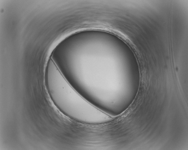 X0000057071520200509090829