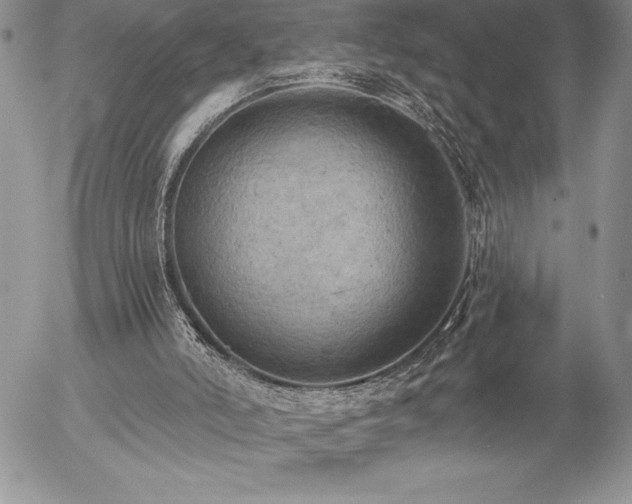 X0000057070006200509091234