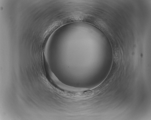X0000057070023200509091234