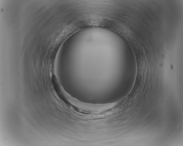 X0000057070031200509091234