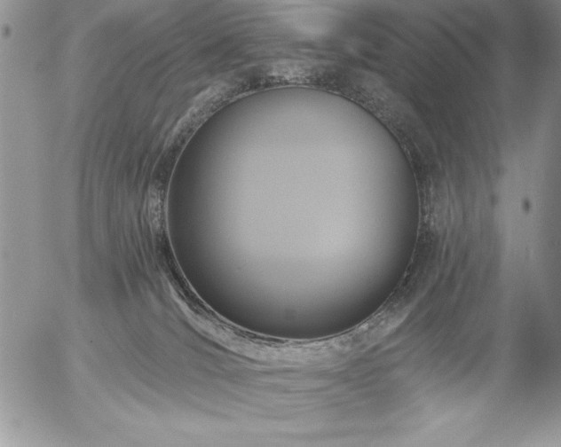 X0000057070036200509091234