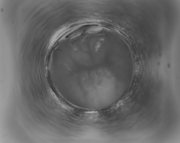 X0000057070053200509091233