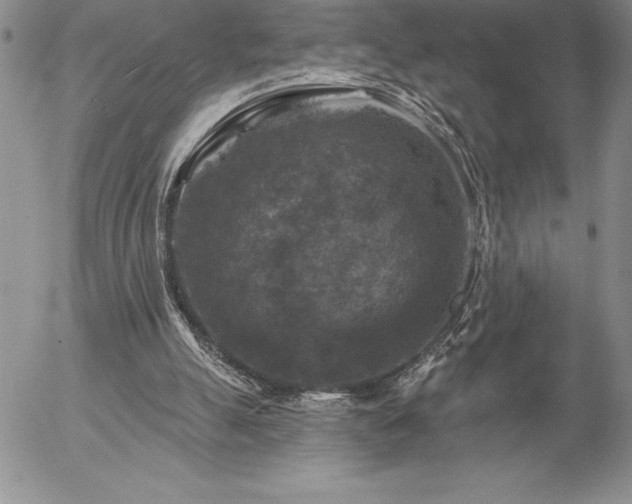 X0000057070055200509091233