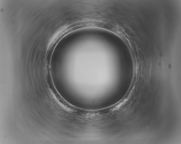 X0000057070101200509091232