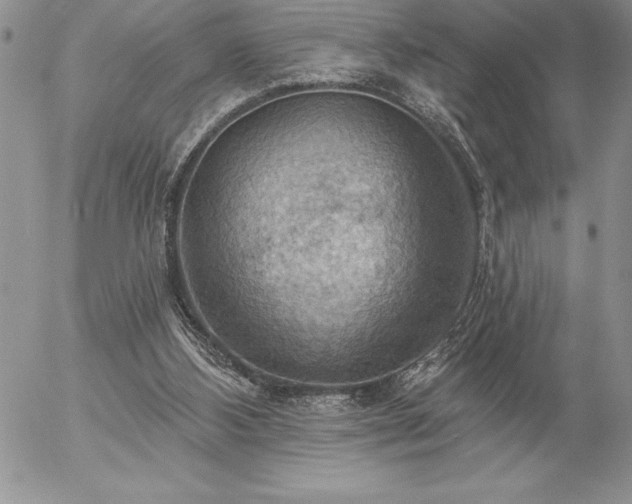 X0000057070108200509091232