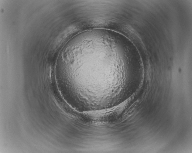 X0000057070115200509091232