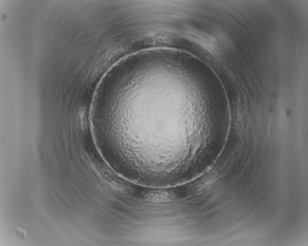 X0000057070123200509091232