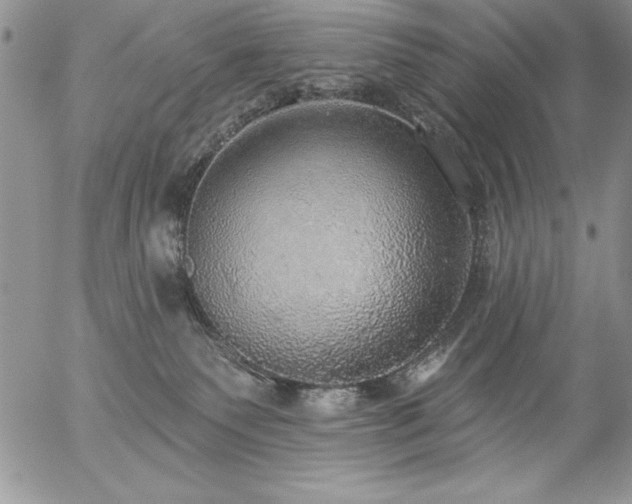 X0000057070135200509091232