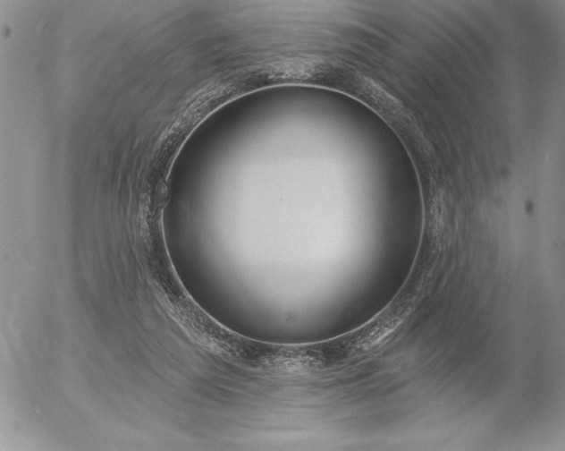 X0000057070209200509091231
