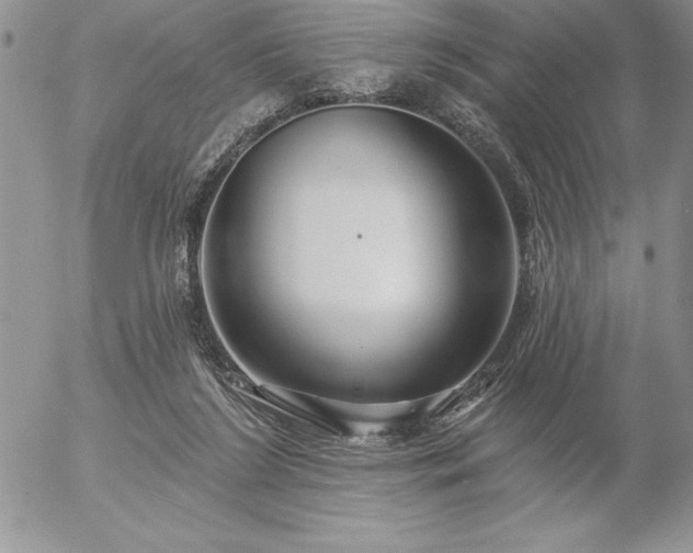 X0000057070212200509091231