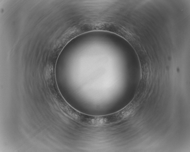 X0000057070225200509091230