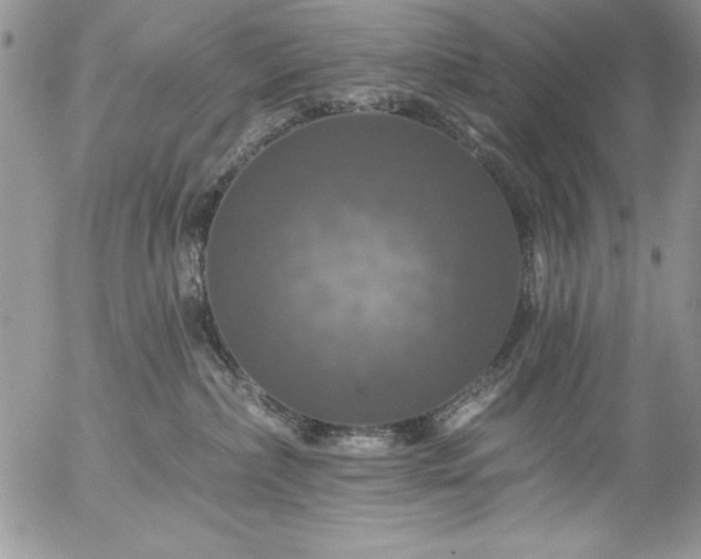 X0000057070236200509091230