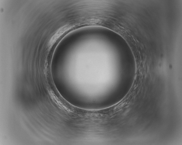 X0000057070242200509091229