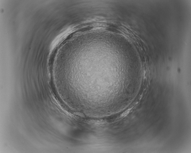 X0000057070245200509091229